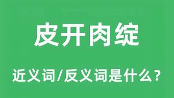 皮开肉绽的意思_成语皮开肉绽的意思