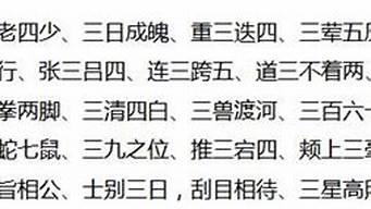 三字成语大全集_三字成语大全集500个