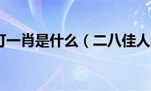 二八佳人打一最准确生肖_二八佳人打一最佳生肖