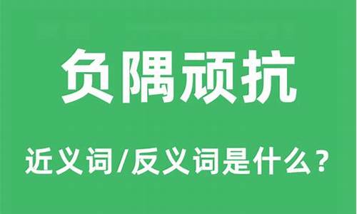 负隅顽抗的隅字是什么意思_负隅顽抗的隅字是什么意思呢